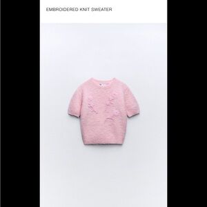 Zara Embroidered Sweater